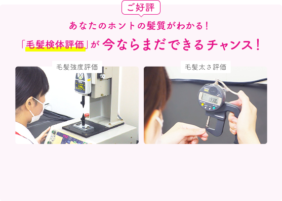 ご好評  あなたのホントの髪質がわかる！ 「毛髪検体評価」が今ならまだできるチャンス！  毛髪強度評価  毛髪太さ評価