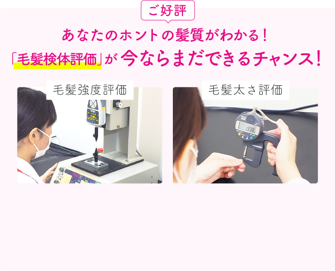 ご好評  あなたのホントの髪質がわかる！ 「毛髪検体評価」が今ならまだできるチャンス！  毛髪強度評価  毛髪太さ評価
