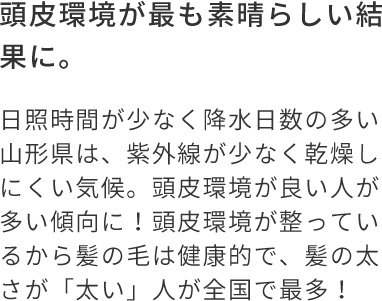 頭皮環境が最も素晴らしい結果に。  日照時間が少なく降水日数の多い山形県は、紫外線が少なく乾燥しにくい気候。頭皮環境が良い人が多い傾向に！頭皮環境が整っているから髪の毛は健康的で、髪の太さが「太い」人が全国で最多！