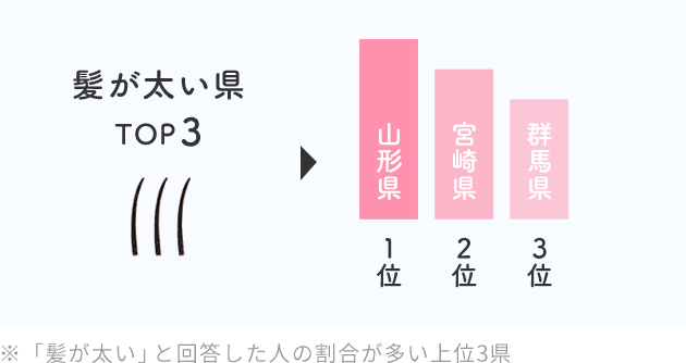 髪が太い県 TOP3  山形県 １位  宮崎県 ２位  群馬県 ３位  ※「髪が太い」と回答した人の割合が多い上位3県