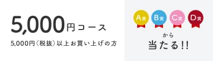 5,000円コース 5,000円(税抜)以上お買い上げの方 A賞 B賞 C賞 D賞から当たる！！