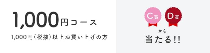 1,000円コース 1,000円(税抜)以上お買い上げの方 C賞 D賞から当たる！！