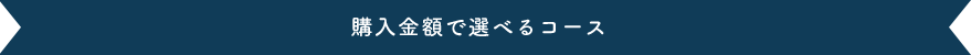 購入金額で選べるコース