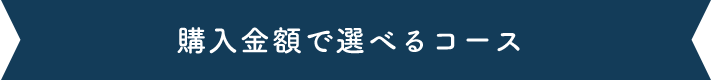 購入金額で選べるコース