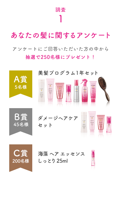 調査 1  あなたの髪に関するアンケート  アンケートにご回答いただいた方の中から抽選で250名様にプレゼント！  A賞 5名様 美髪プログラム1年セット  B賞 45名様 ダメージヘアケアセット  C賞 200名様 海藻 ヘア エッセンス しっとり 25ml