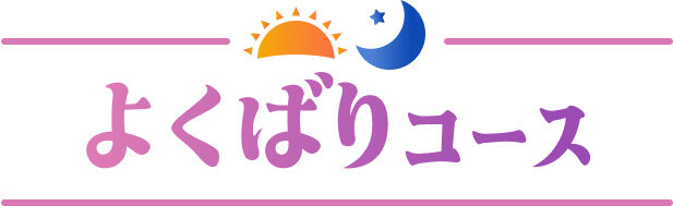 よくばりコース