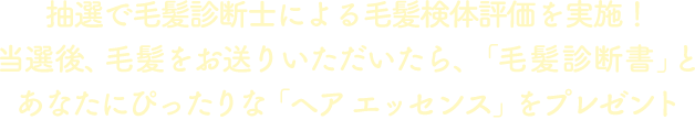 抽選で毛髪診断士による毛髪検体評価を実施！当選後、毛髪をお送りいただいたら、「毛髪診断書」とあなたにぴったりな「ヘア エッセンス」をプレゼント