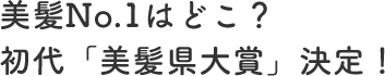 美髪No.1はどこ？初代「美髪県大賞」決定！