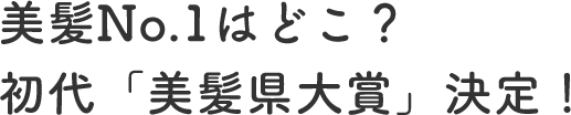 美髪No.1はどこ？初代「美髪県大賞」決定！