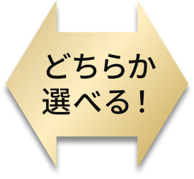 どちらか選べる！