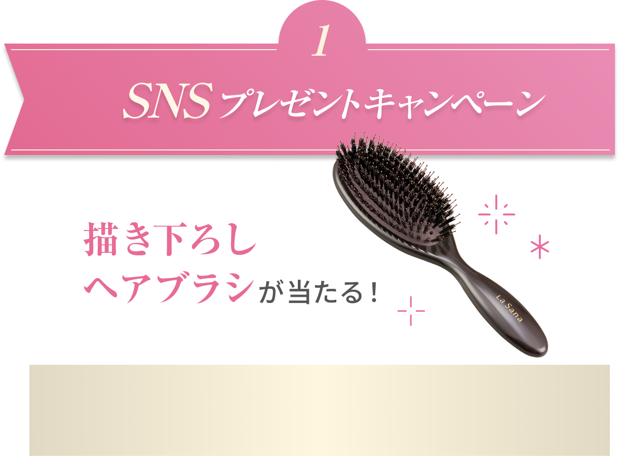 1  SNSプレゼントキャンペーン  描き下ろしヘアブラシが当たる！