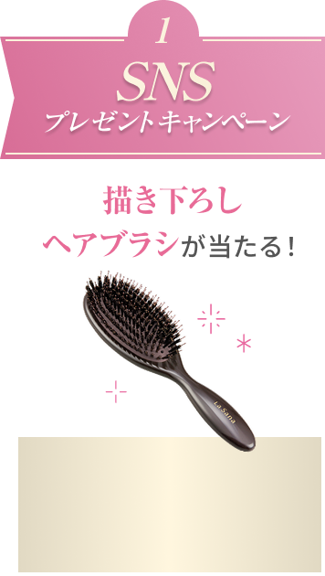 1  SNSプレゼントキャンペーン  描き下ろしヘアブラシが当たる！