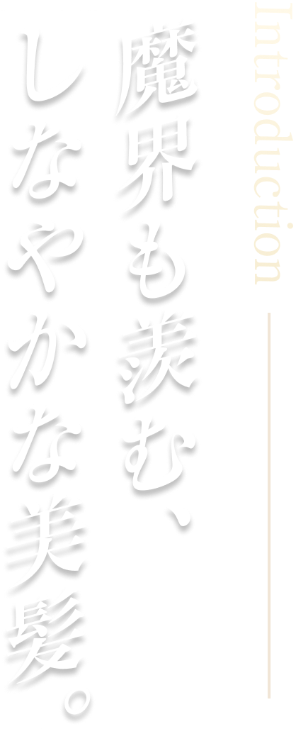 Introduction  魔界も羨む、しなやかな美髪。