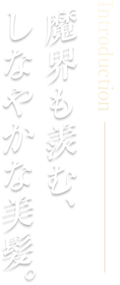 Introduction  魔界も羨む、しなやかな美髪。