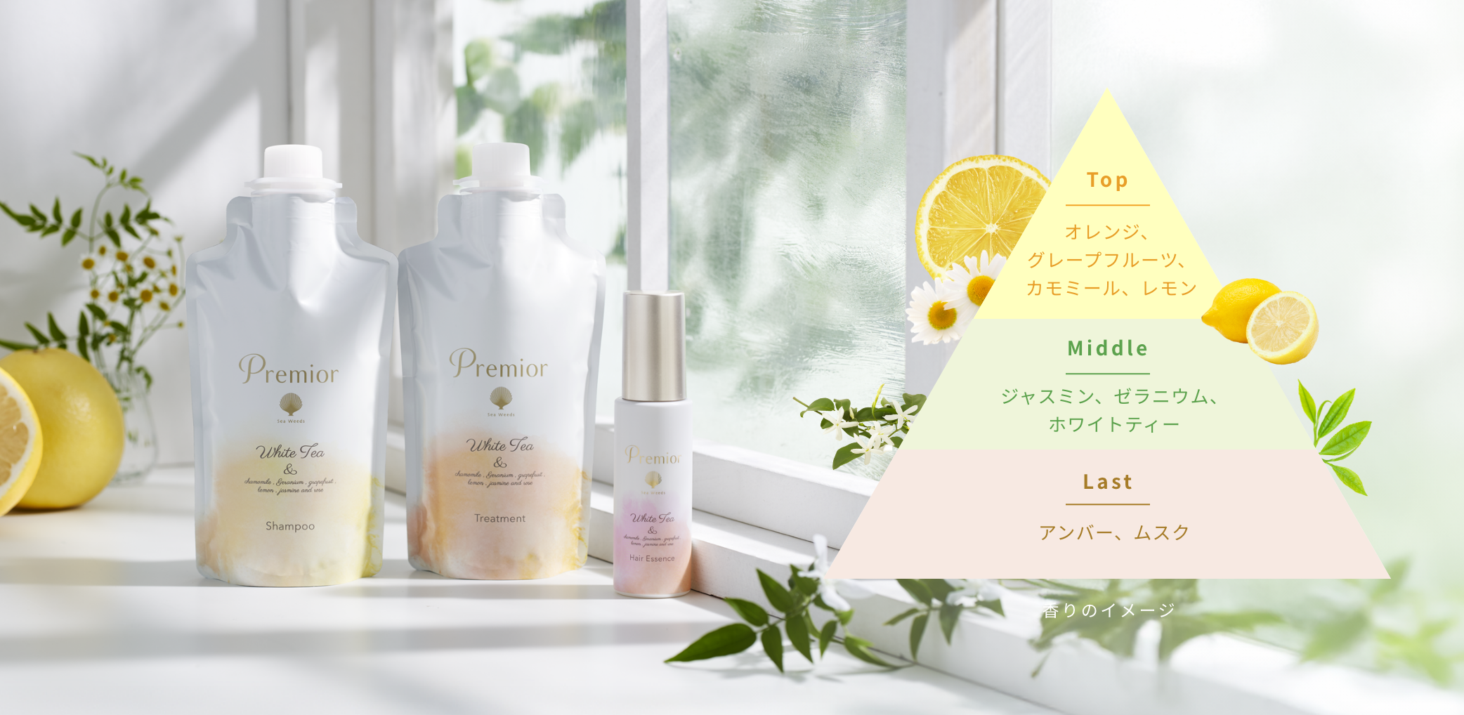 Top  オレンジ、グレープフルーツ、カモミール、レモン  Middle  ジャスミン、ゼラニウム、ホワイトティー  Last  アンバー、ムスク  香りのイメージ