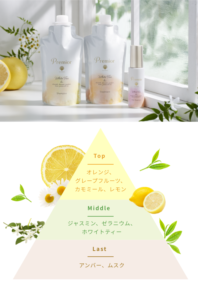 Top  オレンジ、グレープフルーツ、カモミール、レモン  Middle  ジャスミン、ゼラニウム、ホワイトティー  Last  アンバー、ムスク  香りのイメージ