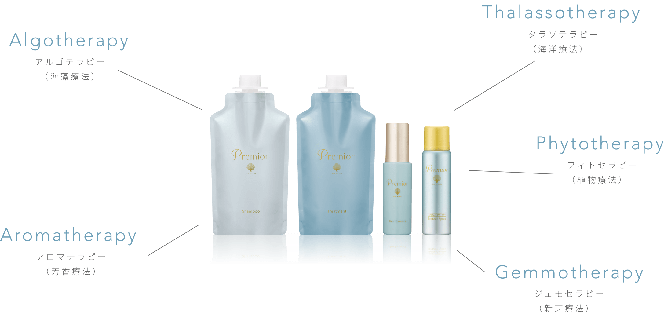 Algotherapy アルゴテラピー（海藻療法） Aromatherapy アロマテラピー（芳香療法） Thalassotherapy タラソテラピー（海洋療法） Phytotherapy フィトセラピー（植物療法） Gemmotherapy ジェモセラピー（新芽療法）