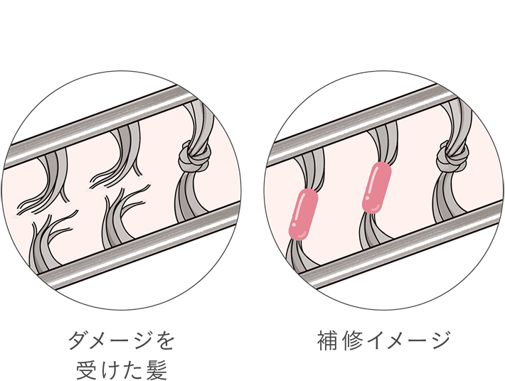 1.パーマのメカニズムイメージ 2.システイン酸生成イメージ