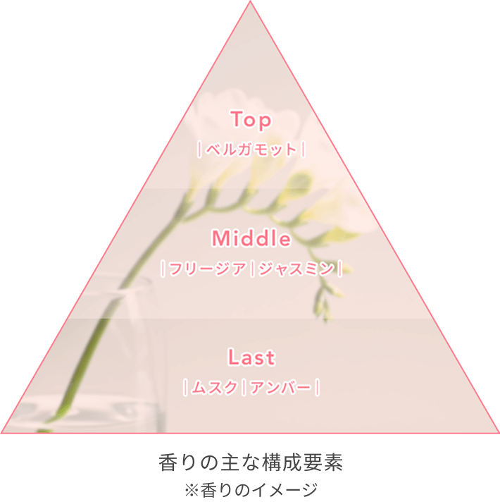 香りの主な構成要素※香りのイメージ Top:ベルガモット Middle:フリージア、ジャスミン Bottom:ムスク、アンバー