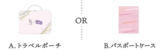 A.トラベルポーチ  OR  B.パスポートケース