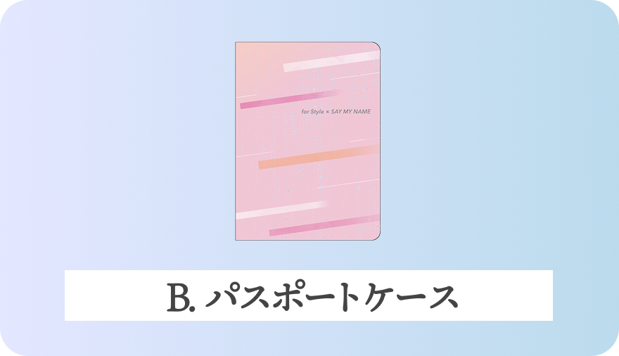 B. パスポートケース