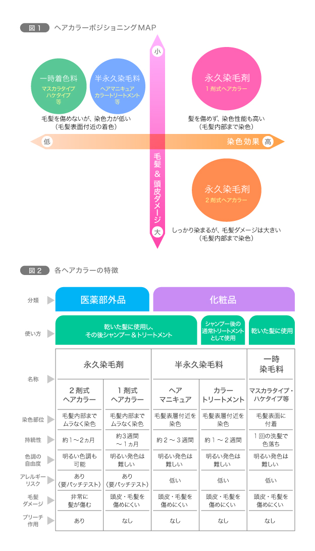 図1　ヘアカラーポジショニングMAP／図2　各ヘアカラーの特徴