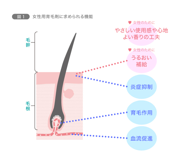 図1　女性用育毛剤に求められる機能