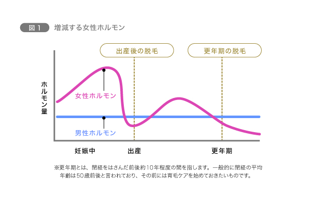 図1　増減する女性ホルモン