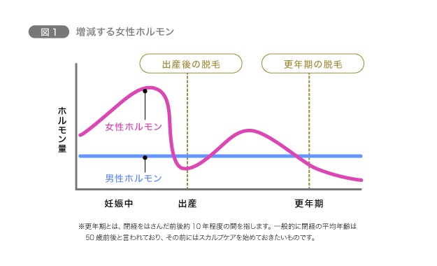 【加齢による変化】女性ホルモンが大きく影響　図1