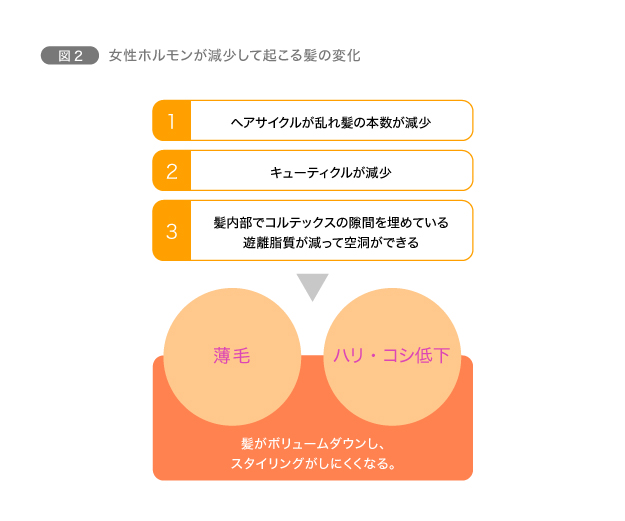 【加齢による変化】女性ホルモンが大きく影響　図2