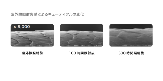 【紫外線】頭皮が浴びる量は肌の３倍以上！　写真