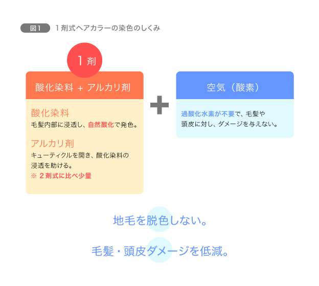 図1　1剤式ヘアカラーの染色のしくみ